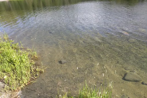 Squirrel Creek State Recreation Site