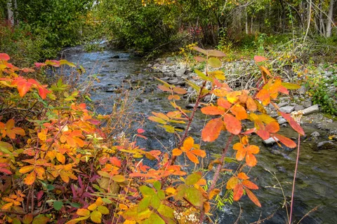 Squirrel Creek State Recreation Site