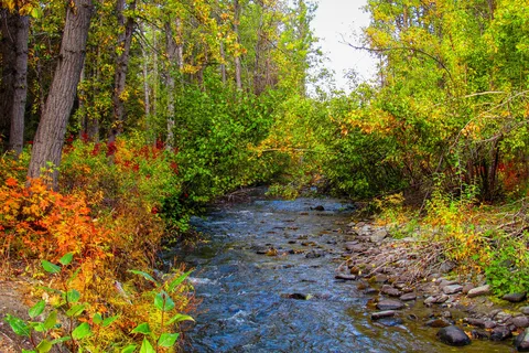 Squirrel Creek State Recreation Site