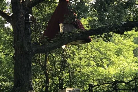 Shady Brook Camping and RV Adventures, LLC