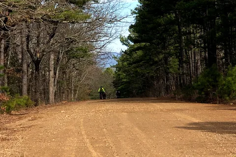 Talimena State Park