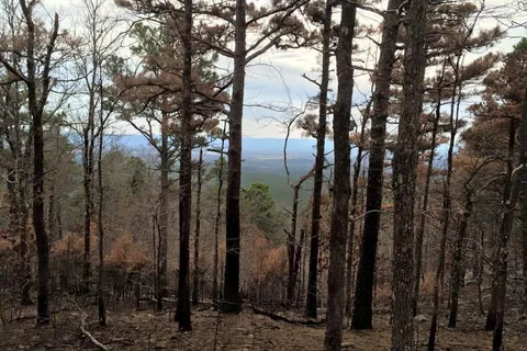 Talimena State Park