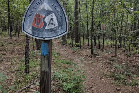 Talimena State Park