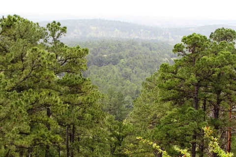 Talimena State Park
