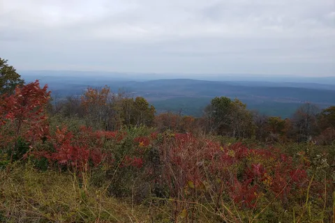 Talimena State Park