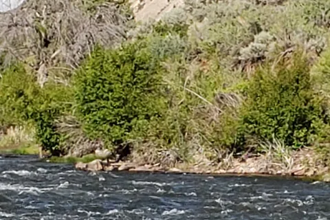 River Dance RV Resort