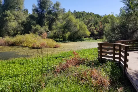 Kelsey Creek - Clear Lake State Park