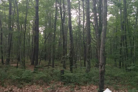 The Caseys Stadig Campground