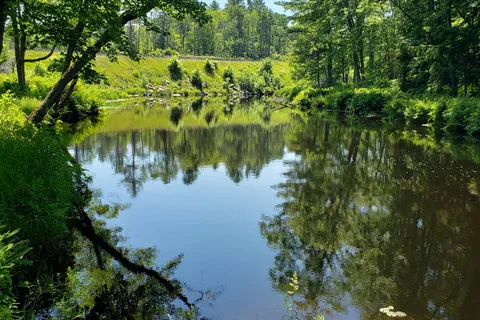 Camp Hillbilly Estates