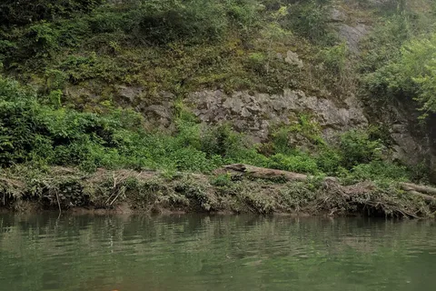 Caddo River Camping and Canoe Rental