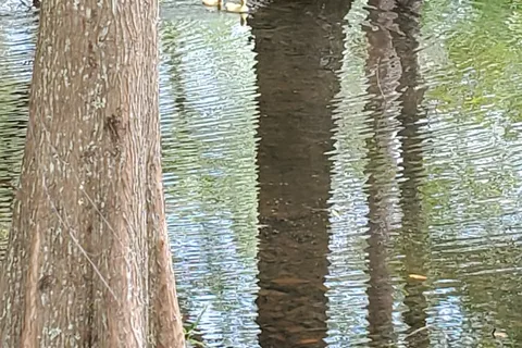 Land-O-Pines Family Campground Inc.