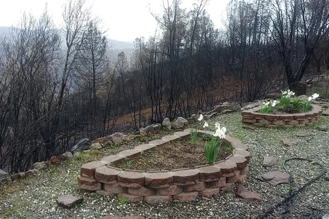 Quail Trails Village