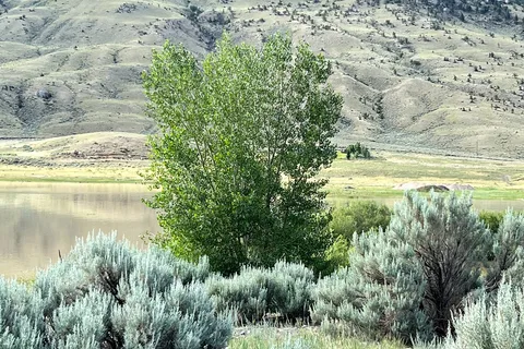 North Fork - Buffalo Bill State Park