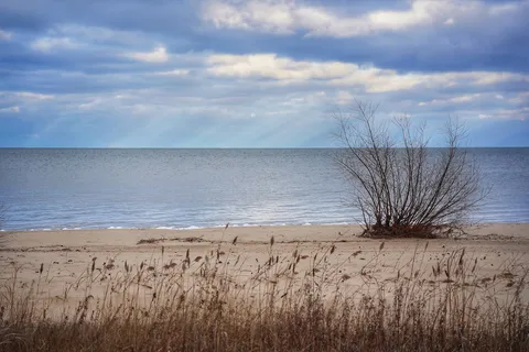Bay City State Park