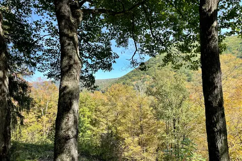 Ole Bull State Park