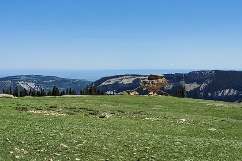Bear Lodge Resort
