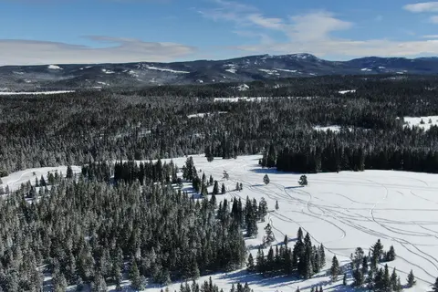 Bear Lodge Resort