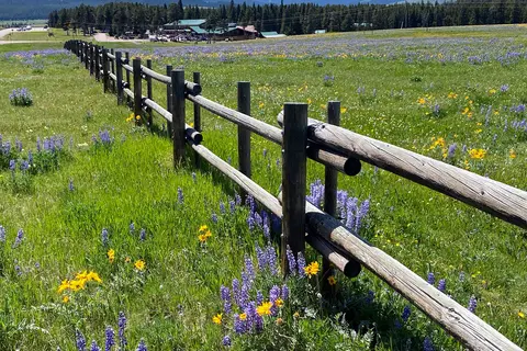 Bear Lodge Resort