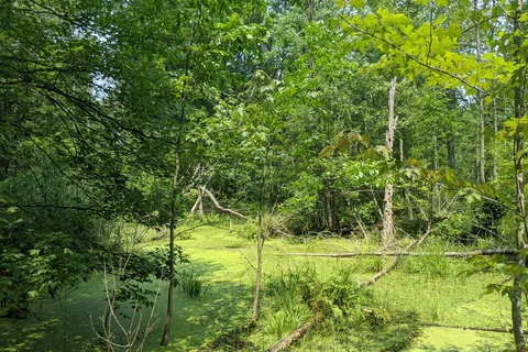 Rondeau Provincial Park