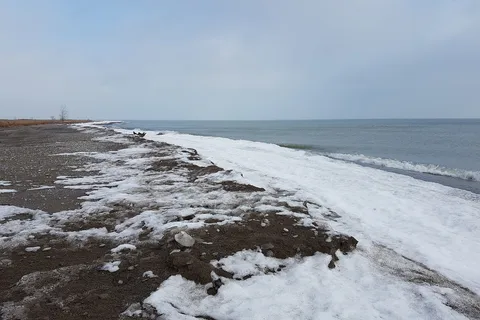 Rondeau Provincial Park