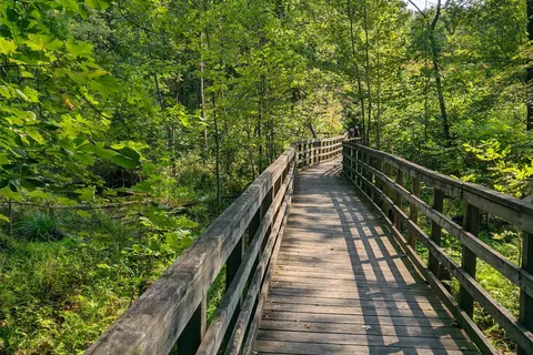Rondeau Provincial Park
