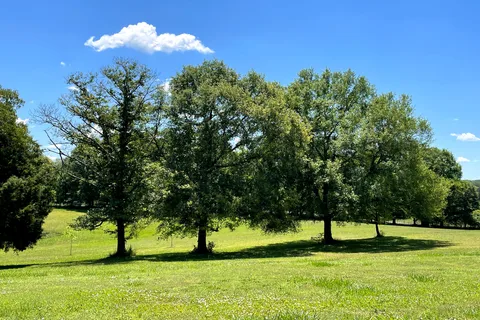 Ivy Acres RV Park