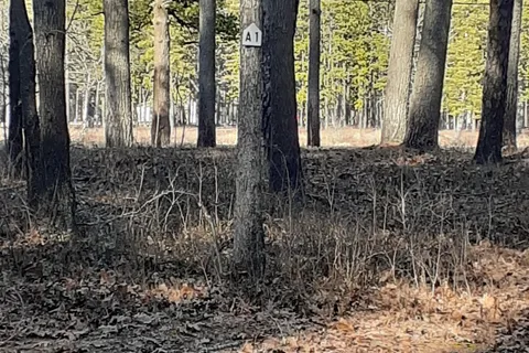Egg Harbor City Lake and Campground