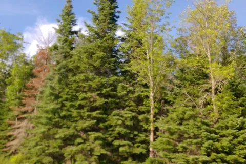 Otter Falls - Whiteshell Provincial Park