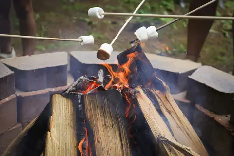 Branch Brook Campground