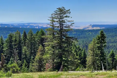 Sumpter RV Park