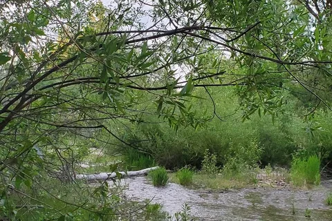 Boise Riverside RV Park