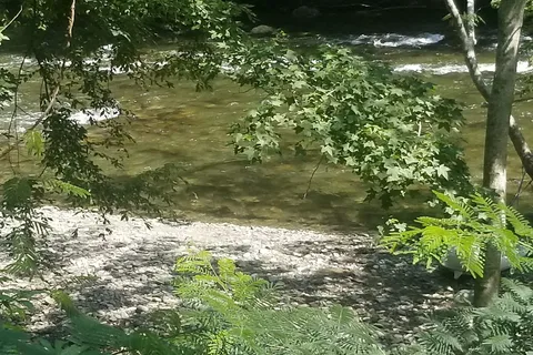 Lazy Daze Campground