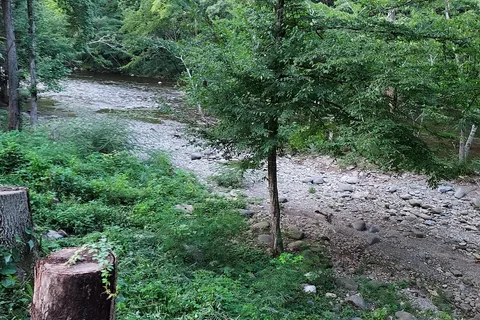 Lazy Daze Campground