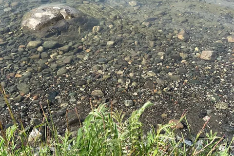 Lac La Hache Provincial Park