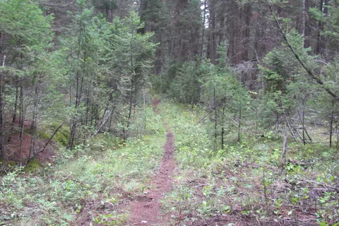 Lac La Hache Provincial Park