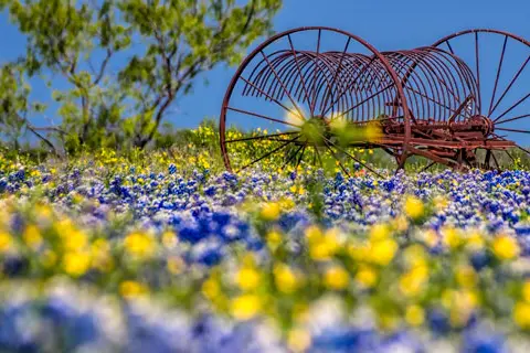 Patriot RV Park - Gonzales