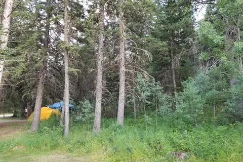 Battle Creek - Cypress Hills Interprovincial Park - Alberta