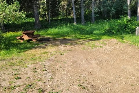 Battle Creek - Cypress Hills Interprovincial Park - Alberta