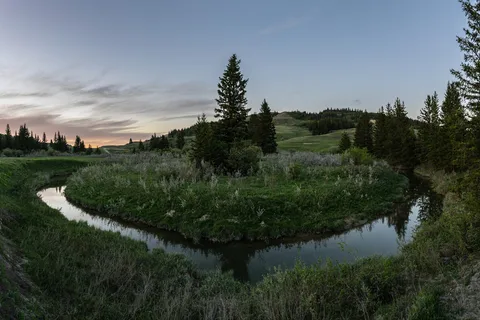 Battle Creek - Cypress Hills Interprovincial Park - Alberta