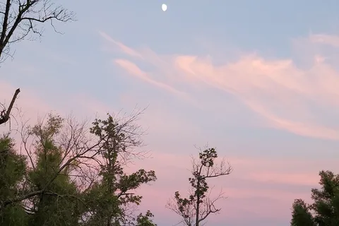 Bernice State Park