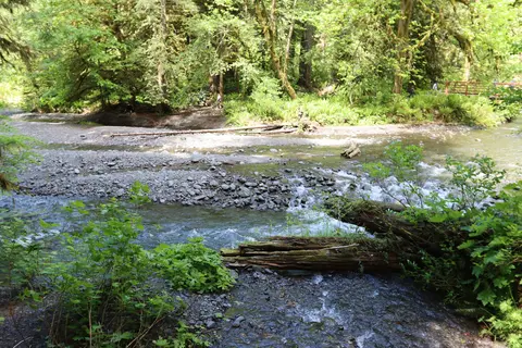 Sequim West RV Park