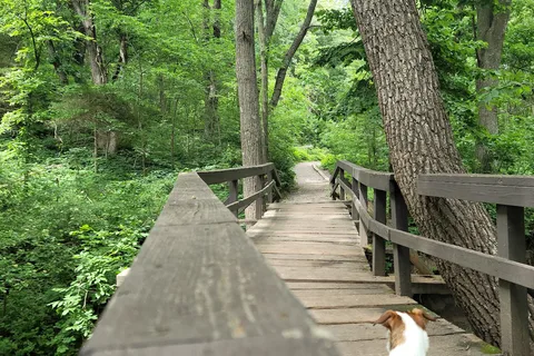 Platte River State Park