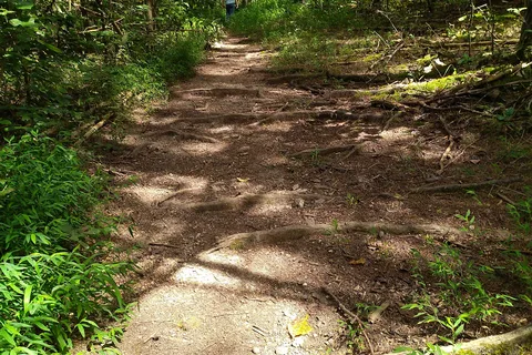 Panther Creek State Park