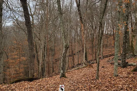 Panther Creek State Park