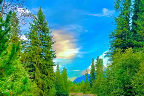 Yellowhead RV Park and Campground