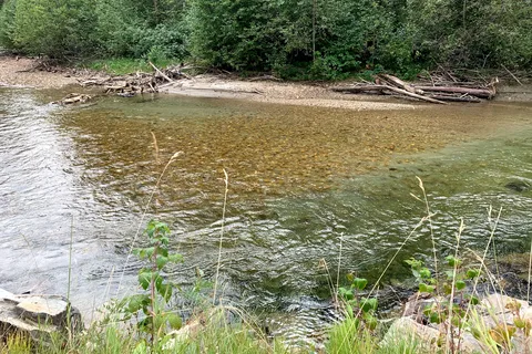 Yellowhead RV Park and Campground