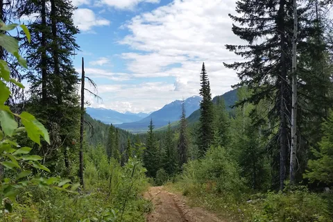 Yellowhead RV Park and Campground