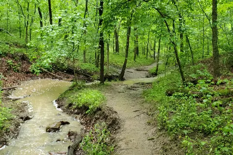 Campground 2 - Thousand Hills State Park