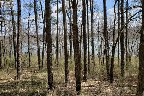 Campground 2 - Thousand Hills State Park
