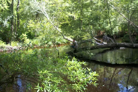 Winding River Campground
